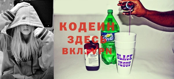 прущие грибы Гусев