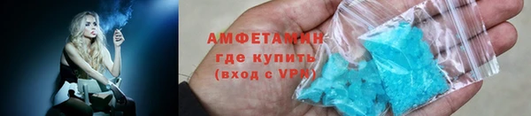 прущие грибы Гусев