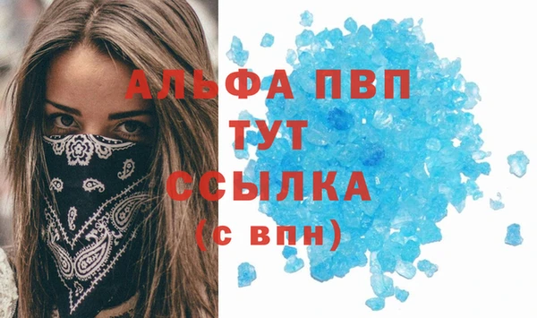прущие грибы Гусев