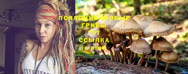 скорость Гусиноозёрск