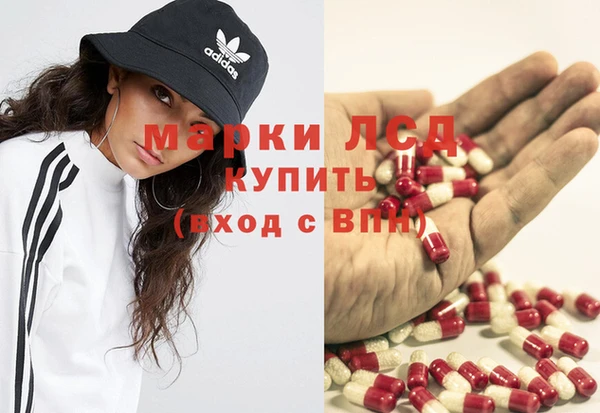 прущие грибы Гусев