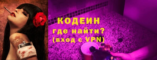прущие грибы Гусев