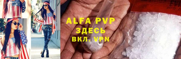 прущие грибы Гусев