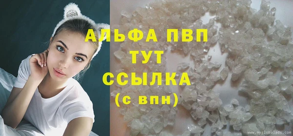 прущие грибы Гусев